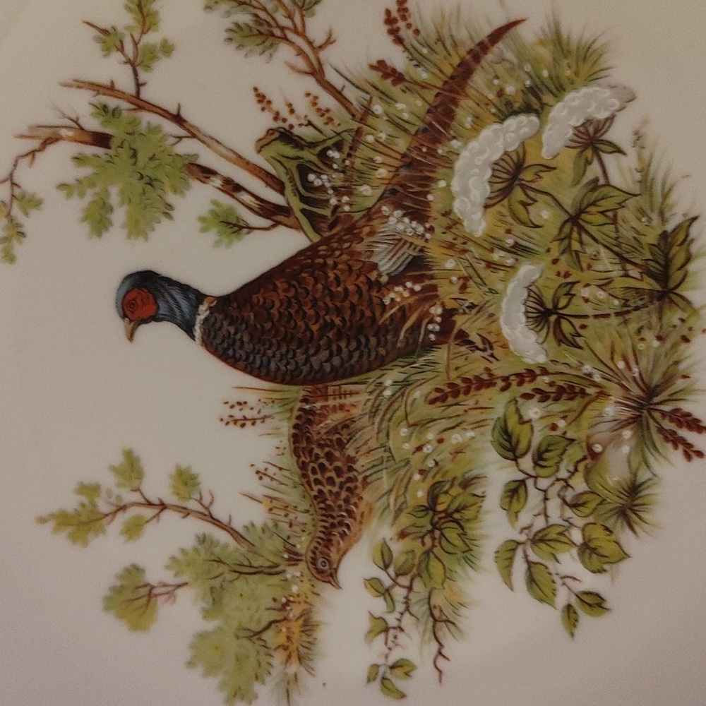 6 Bareuther Waldsassen Wildlife Transferware Porcelain Luncheon Plates - Picture 13 of 17